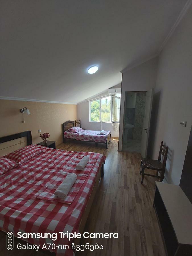 Martvili Newhotel Zewnętrze zdjęcie