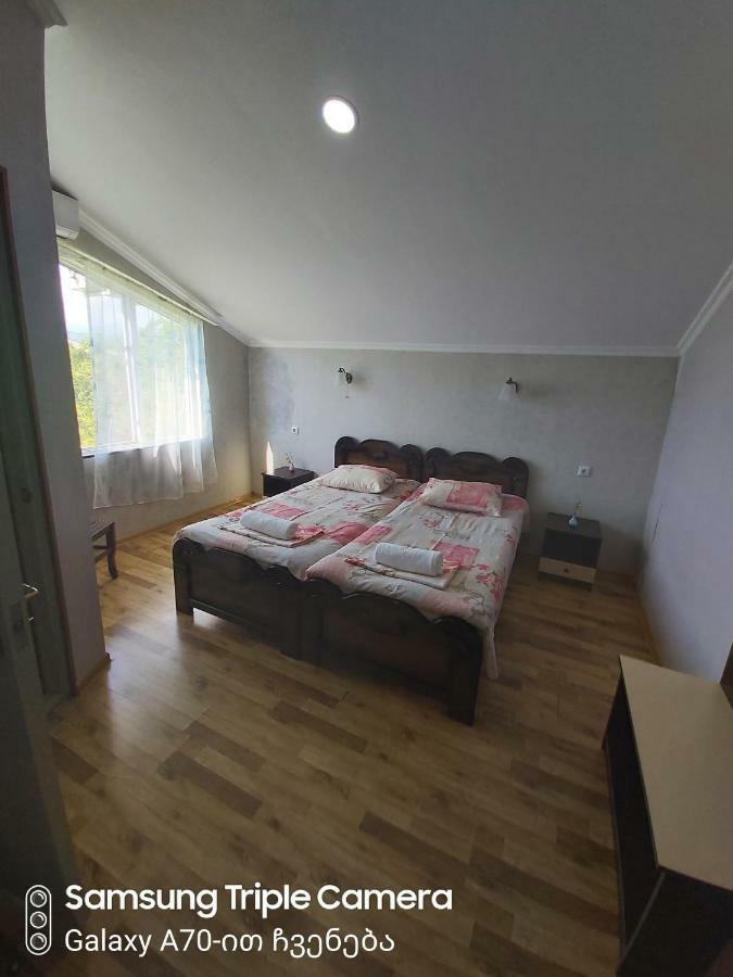 Martvili Newhotel Zewnętrze zdjęcie